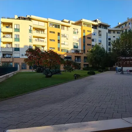 Szerena * Segedín