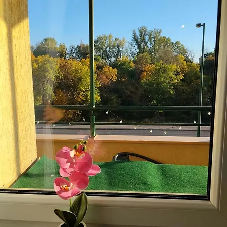 Szerena * Сегед